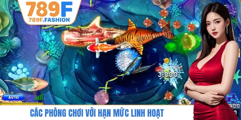 Các phòng chơi với hạn mức linh hoạt