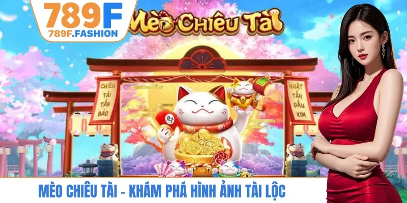 Mèo Chiêu Tài