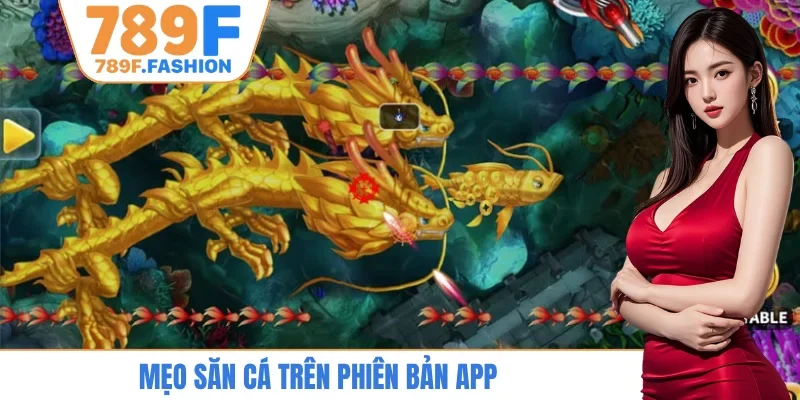 Mẹo săn cá trên phiên bản app