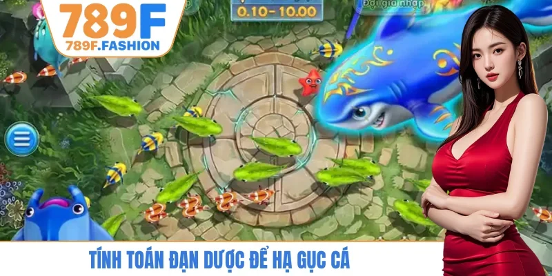 Tính toán đạn dược để hạ gục cá